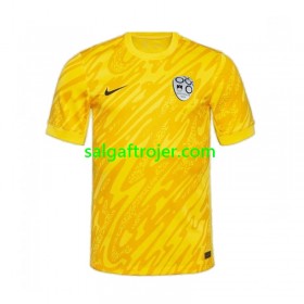 Slovenie Fodboldtrøjer Målmand Hjemmebanesæt EM 2024 Kort ærmer